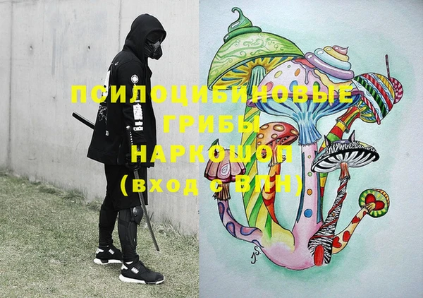ГАЛЛЮЦИНОГЕННЫЕ ГРИБЫ Армянск