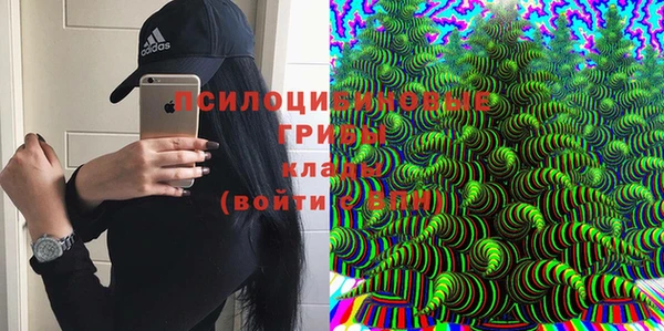 ГАЛЛЮЦИНОГЕННЫЕ ГРИБЫ Армянск