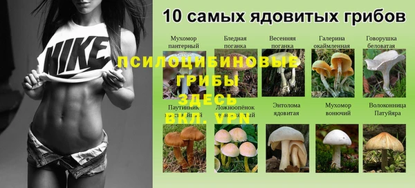 ГАЛЛЮЦИНОГЕННЫЕ ГРИБЫ Армянск