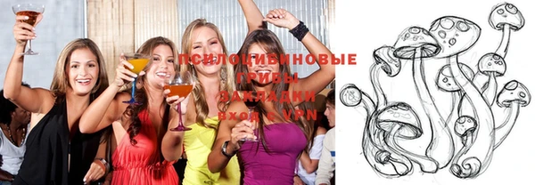 амф Аркадак