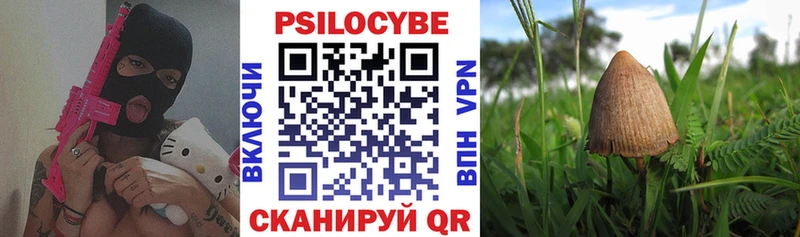 купить Дзержинск Галлюциногенные грибы Magic Shrooms