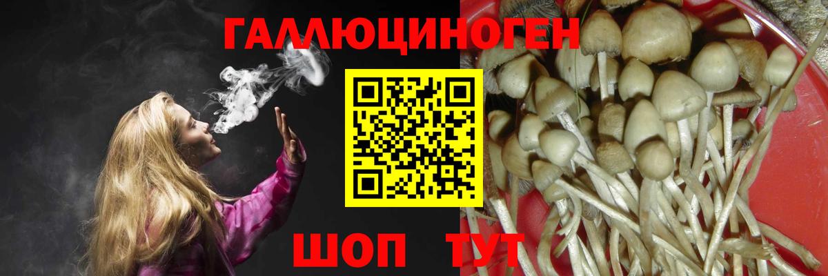 Псилоцибиновые грибы Psilocybe Дзержинск