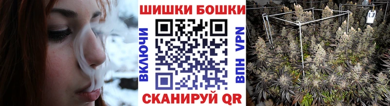 Бошки Шишки семена  как найти закладки  Дзержинск 